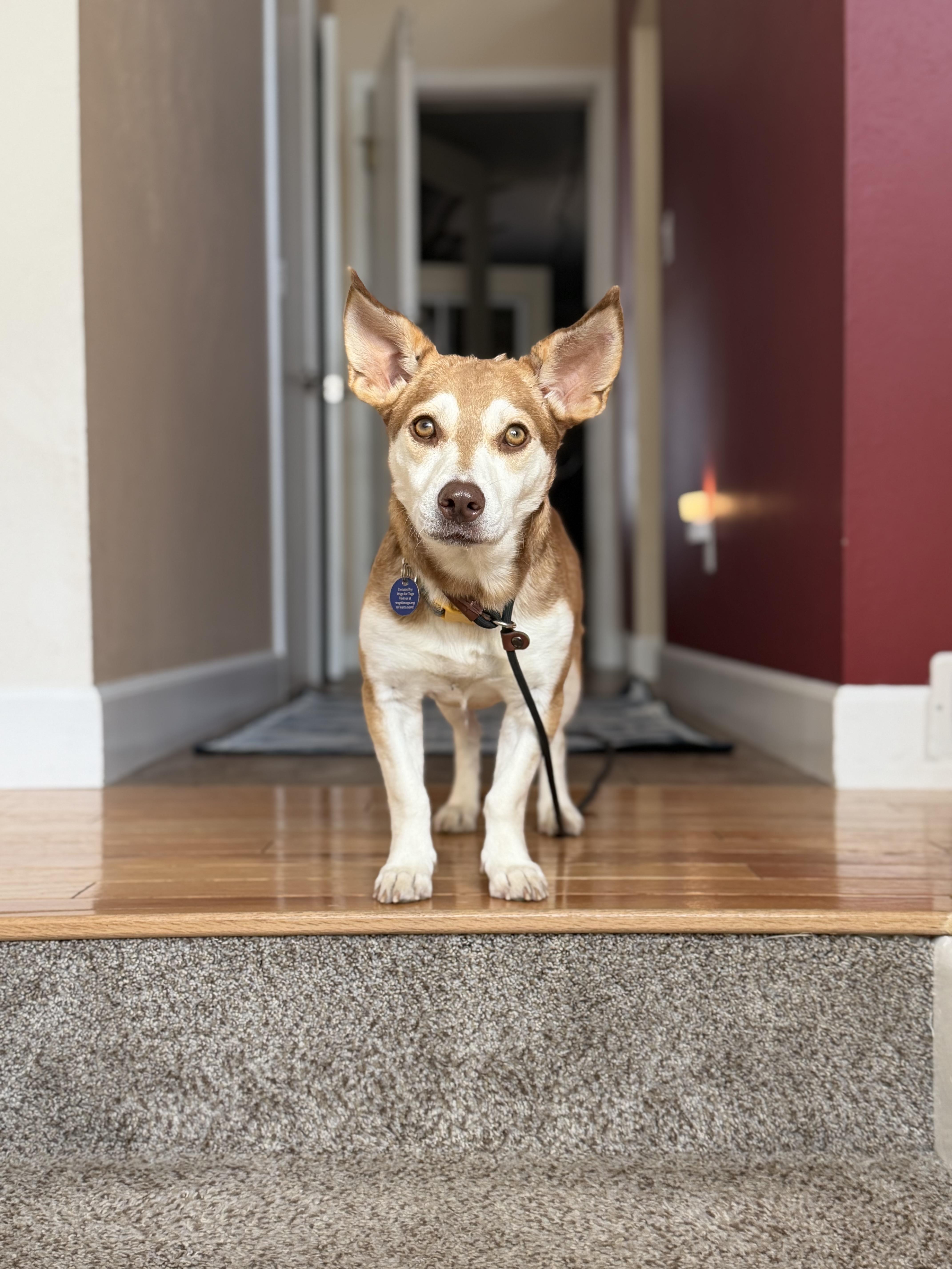 Mia Red Hot thumbnail 4