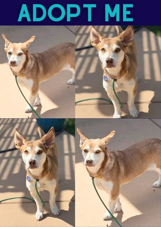 Mia Red Hot thumbnail 5