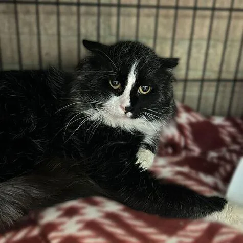 Enchanted To Meet You