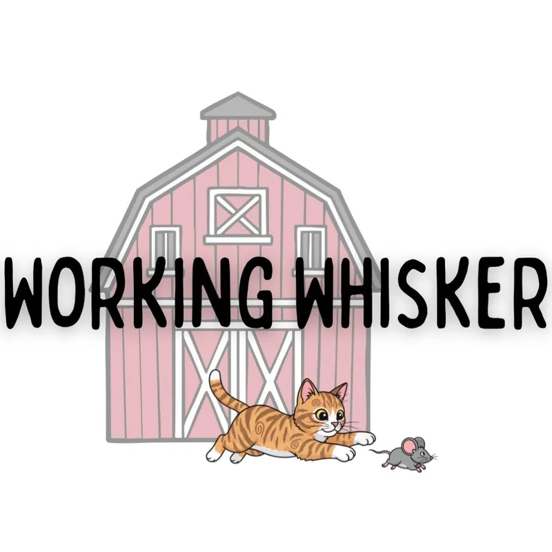 Enchanted To Meet You thumbnail 3