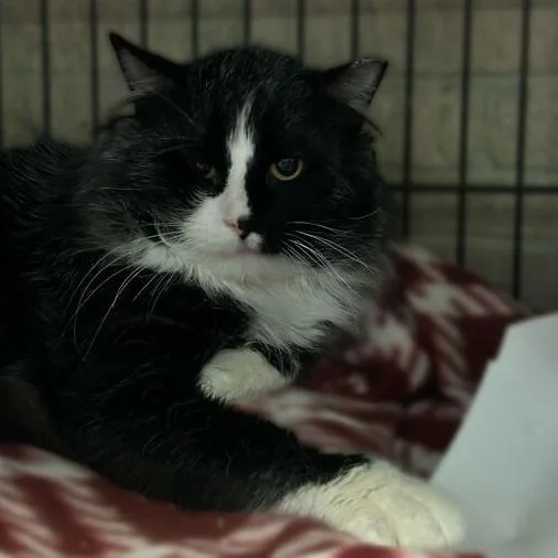 Enchanted To Meet You thumbnail 5