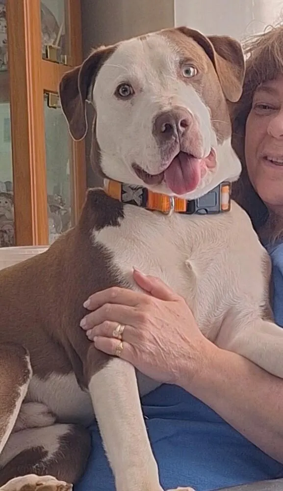 Roscoe