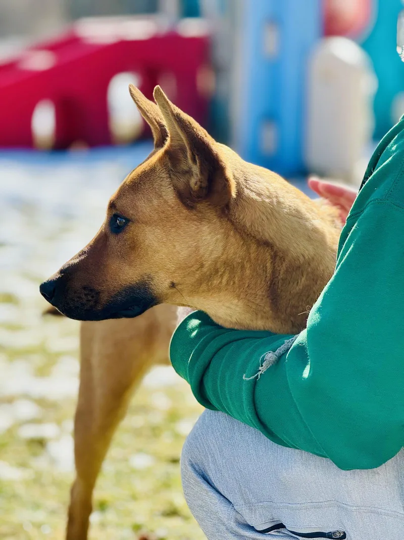 Benedict thumbnail 2