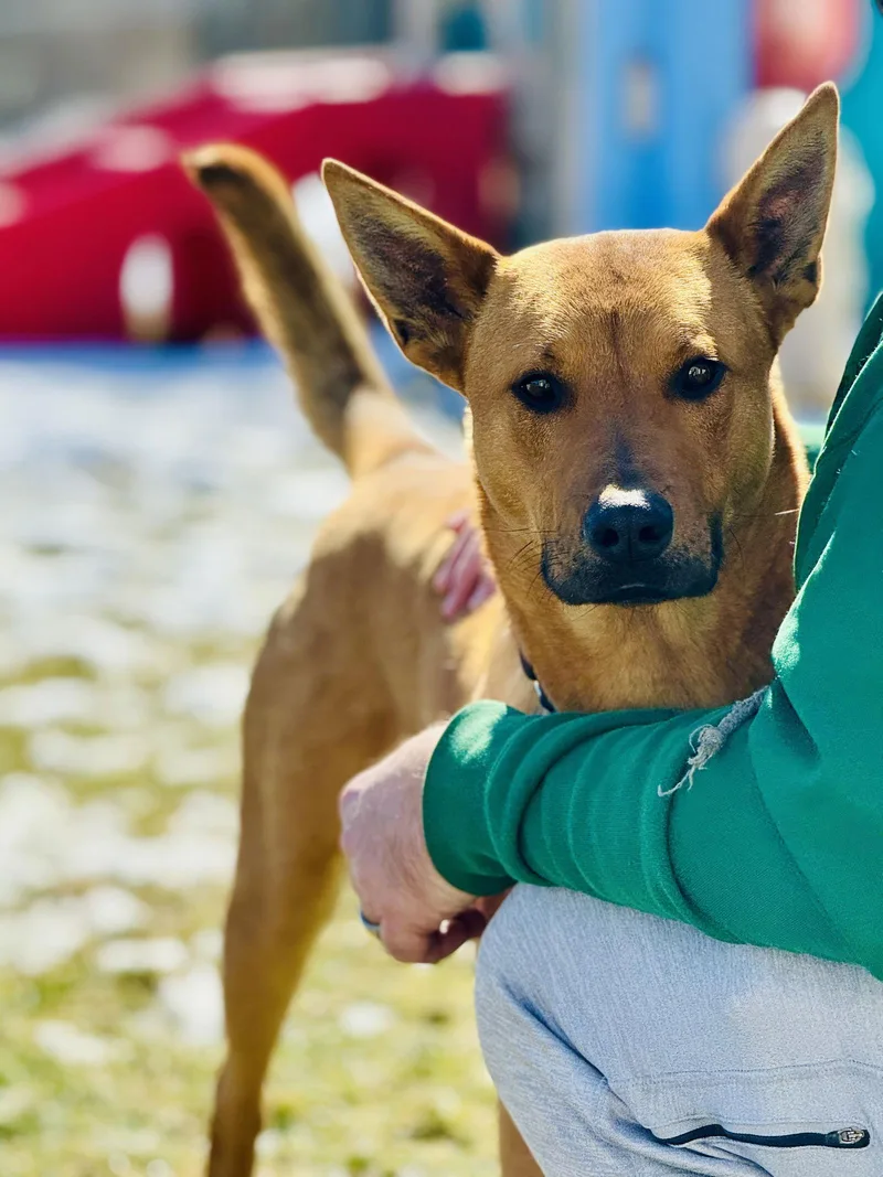 Benedict thumbnail 3