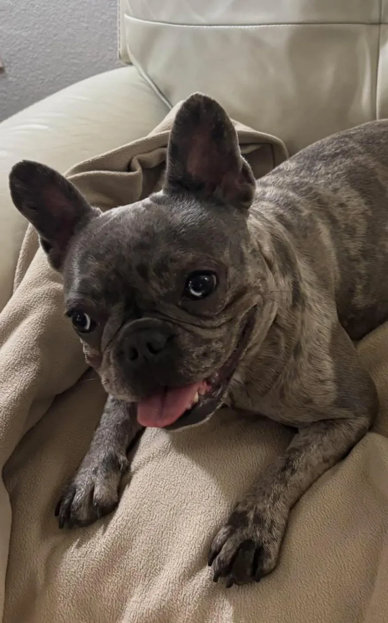 Kali