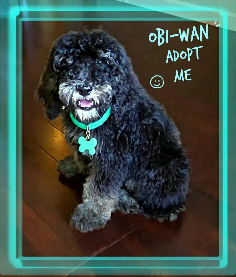ObiWan