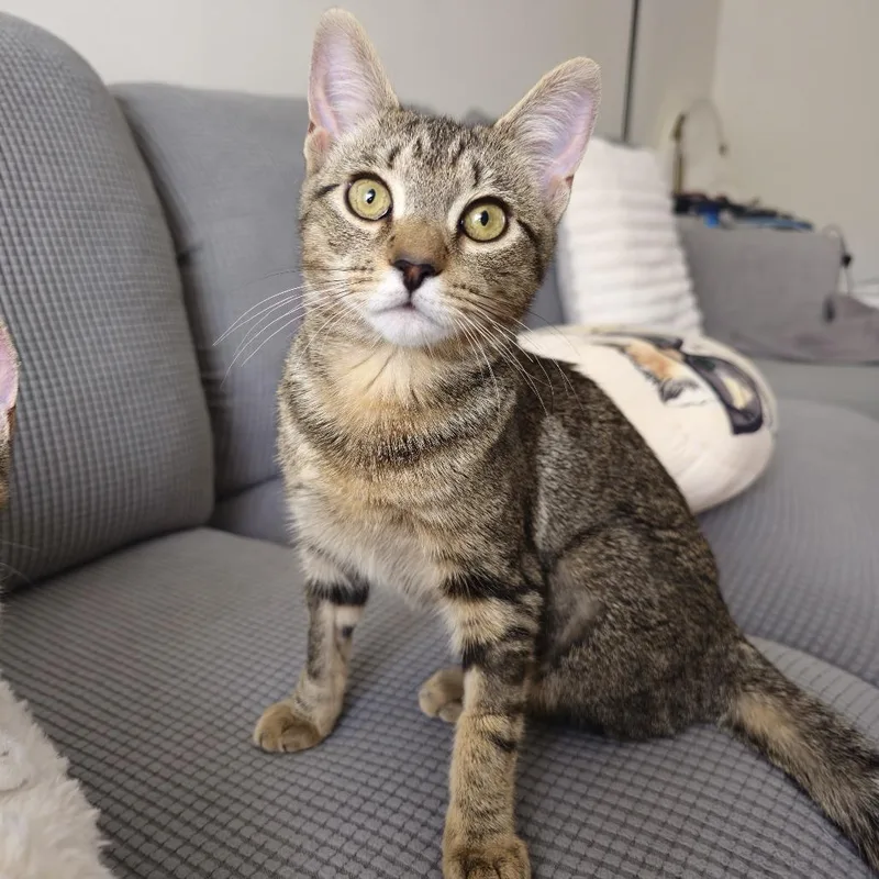 Martini Mckenzie thumbnail 3