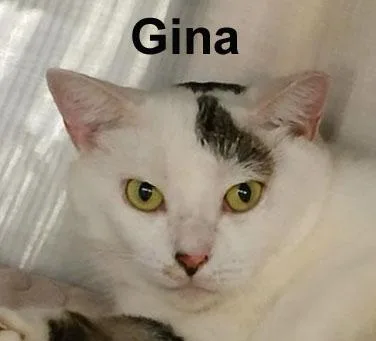 Gina Ricc.