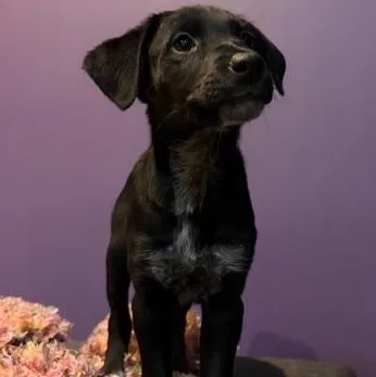 Nori