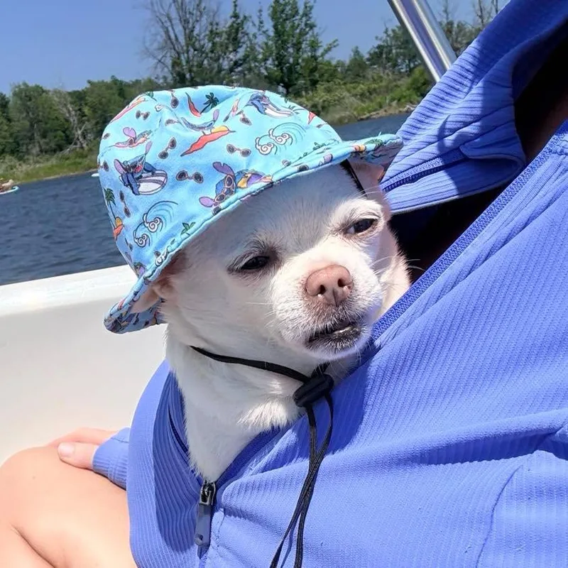 Maude thumbnail 6