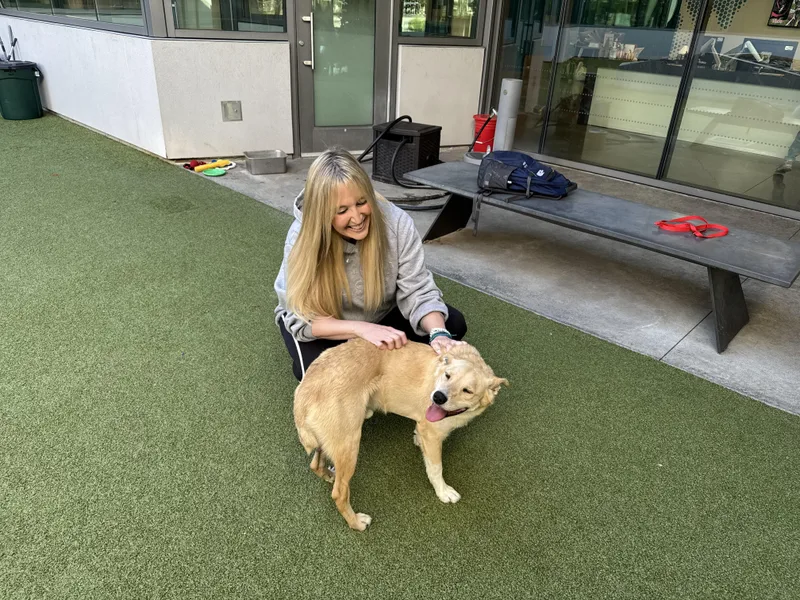 Maverick thumbnail 2