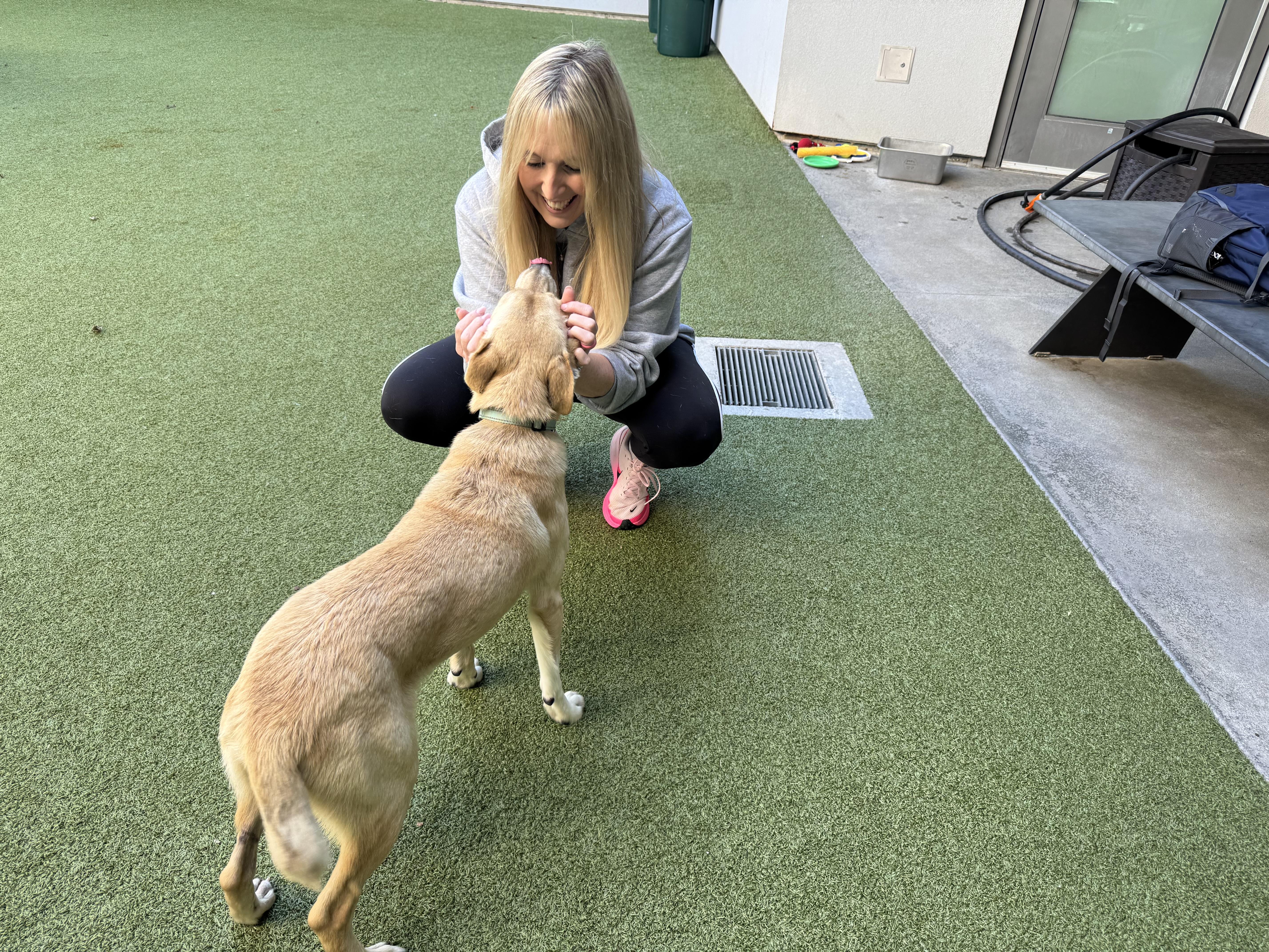 Maverick thumbnail 4