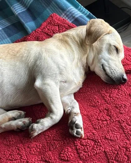 Lucas Alejandro thumbnail 2