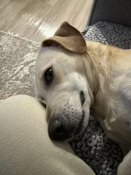 Lucas Alejandro thumbnail 3