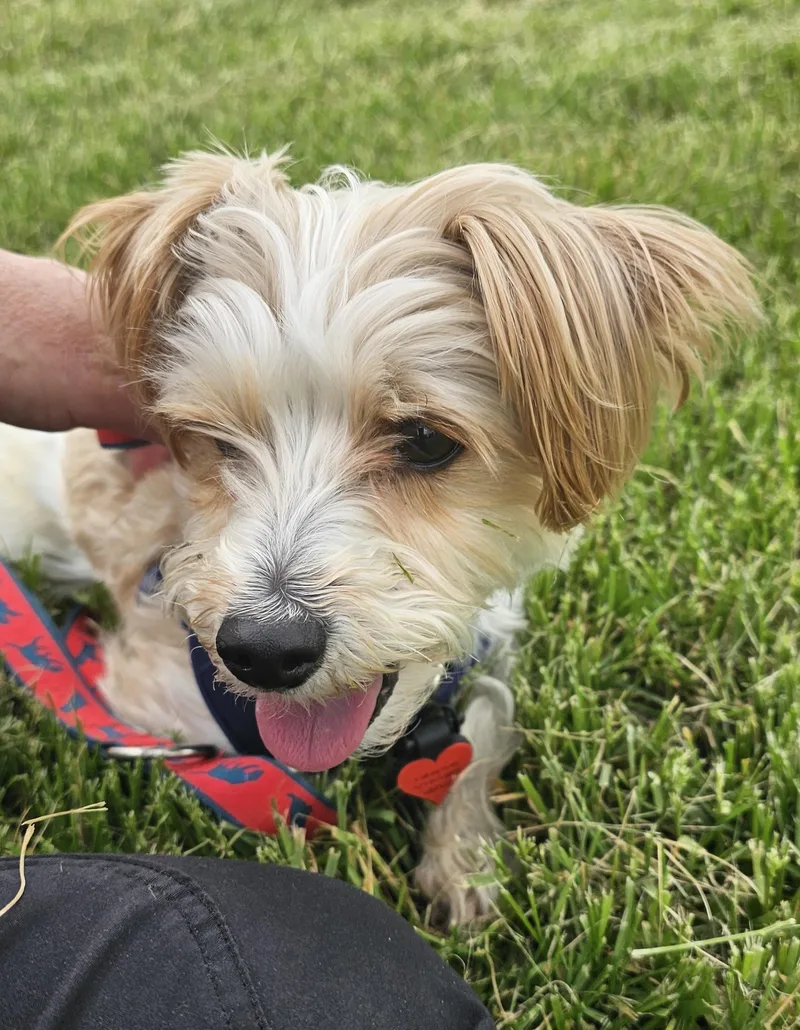 Milo