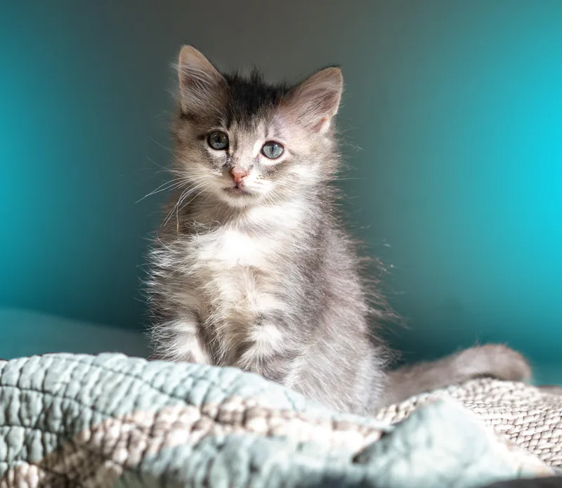 Maggie thumbnail 5
