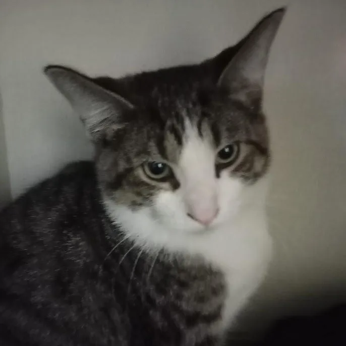 Malachite thumbnail 2