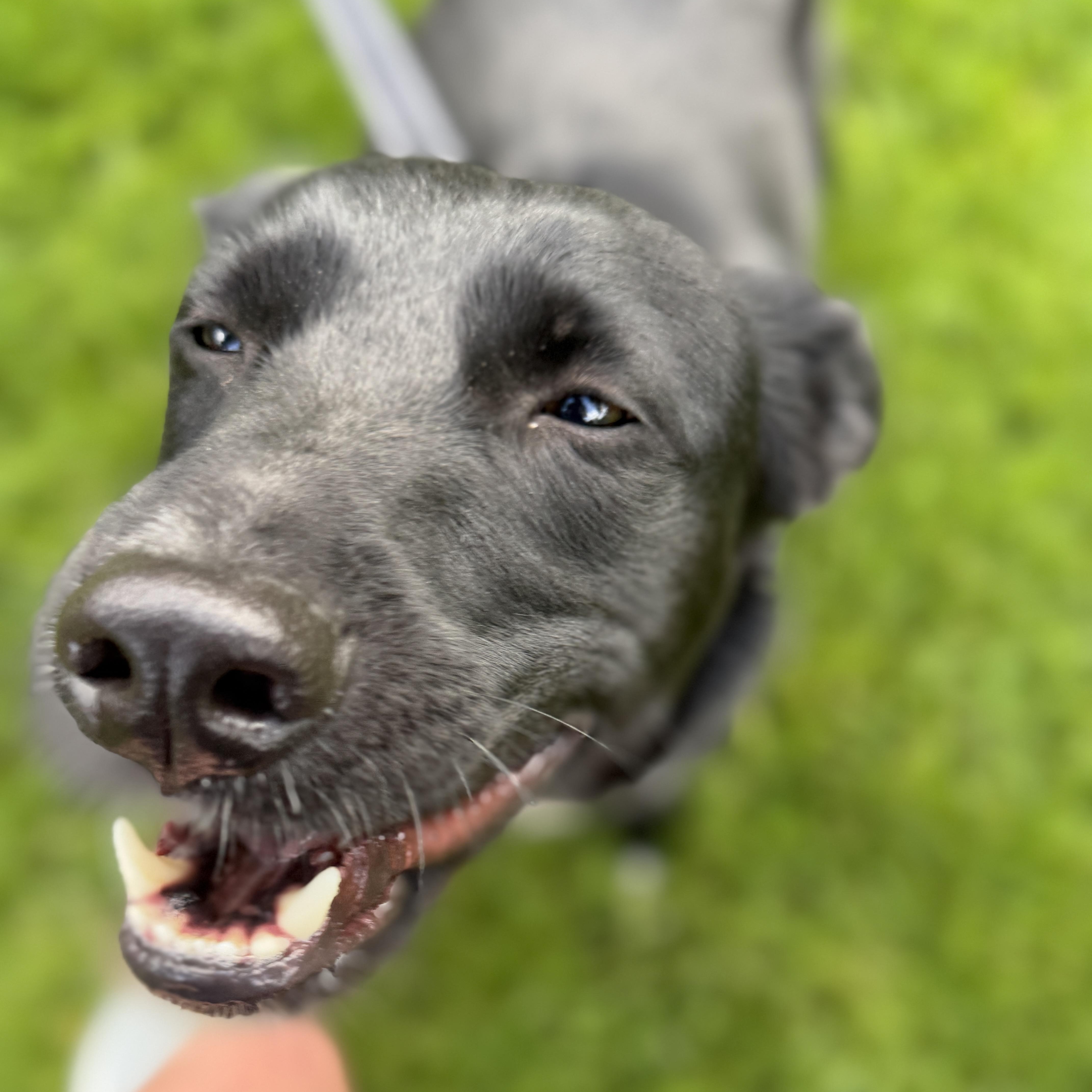 Ellie thumbnail 3