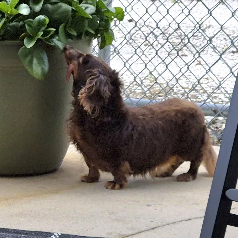Gabby thumbnail 3