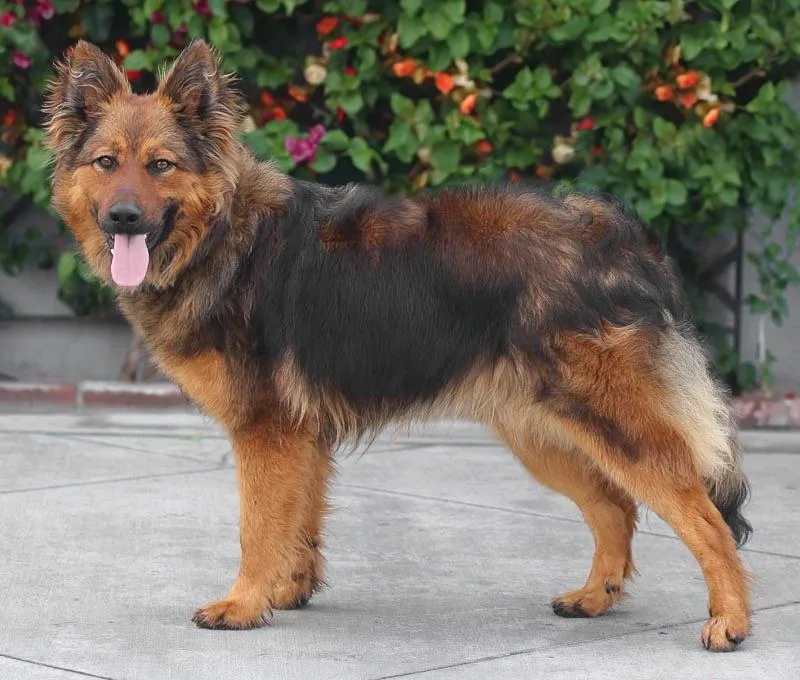 Rio Von Rieste thumbnail 2