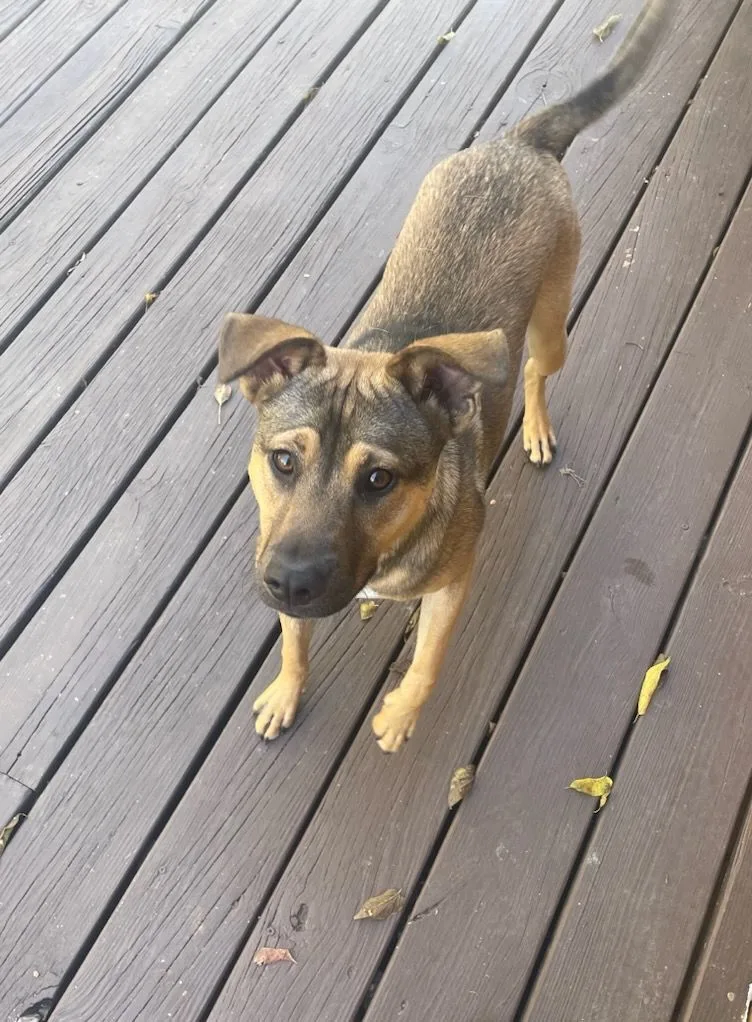 Nugget Aka Jayne thumbnail 4