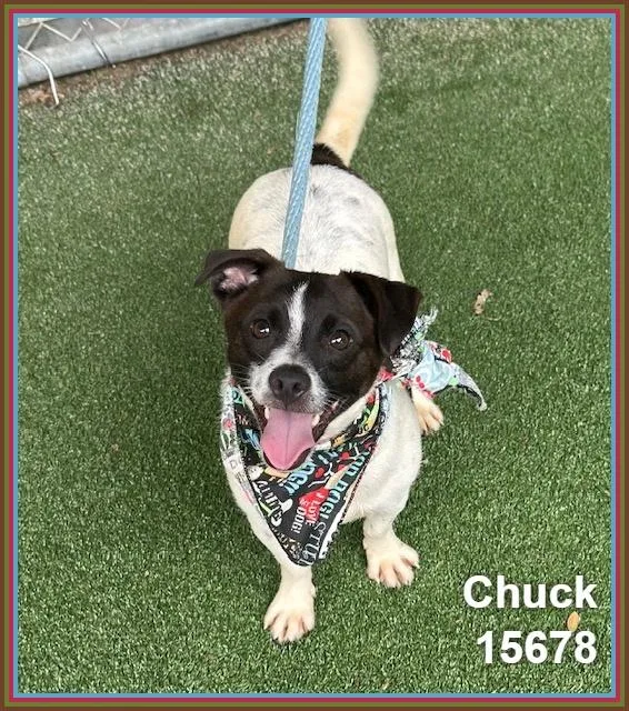 Chuck