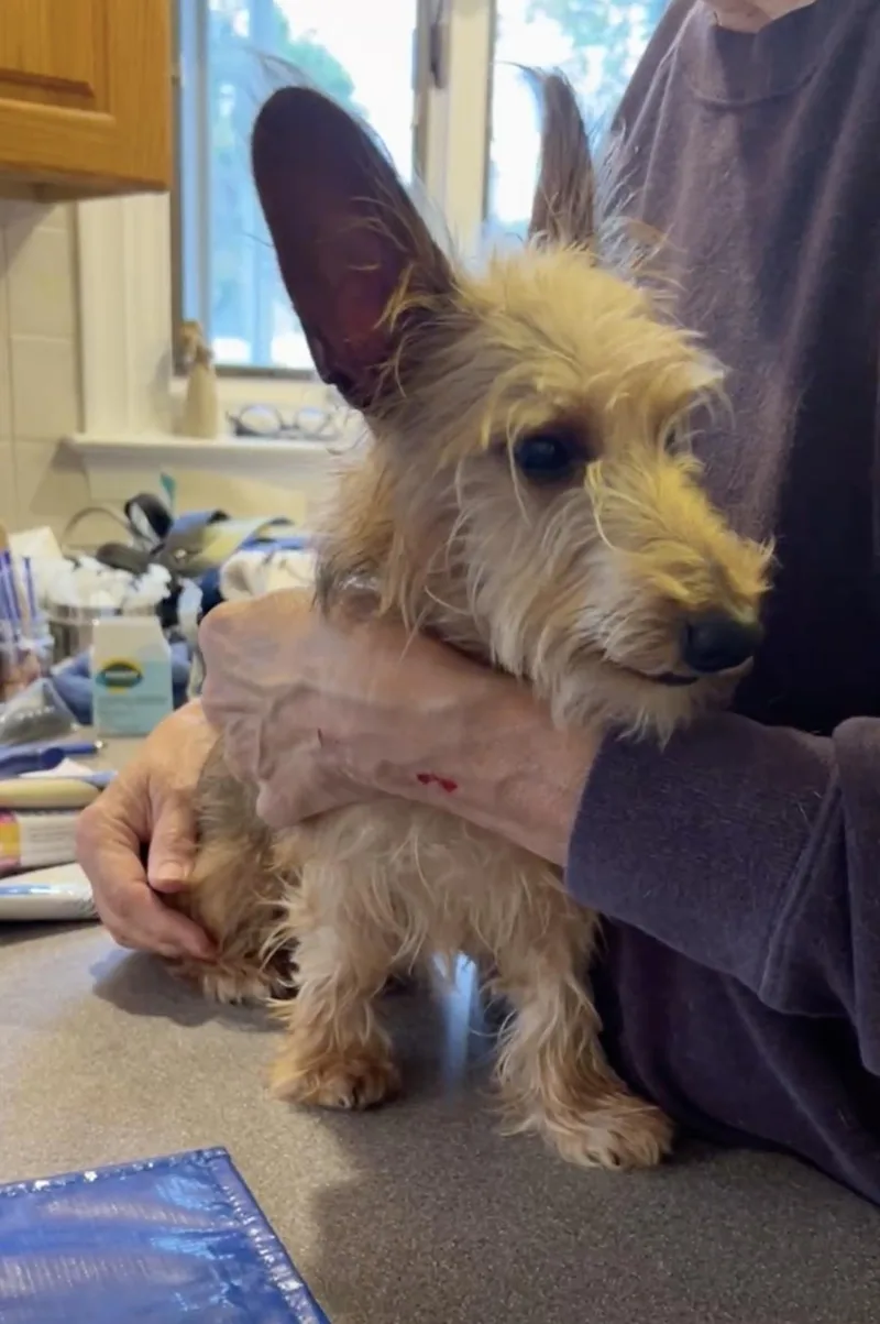 Lola And Slinky thumbnail 2