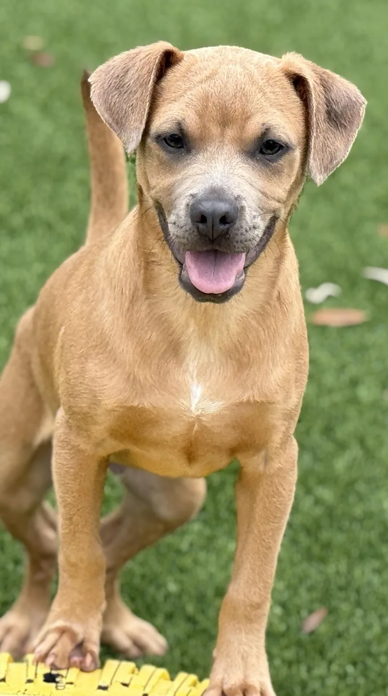 Gouda  My Mom thumbnail 4