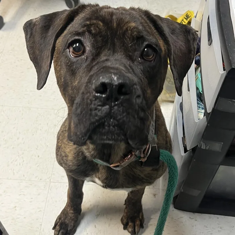 Candyland thumbnail 2