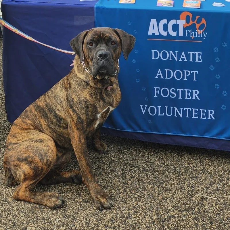 Candyland thumbnail 6