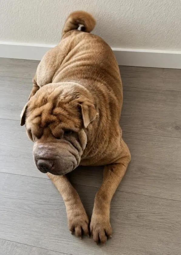 Buster
