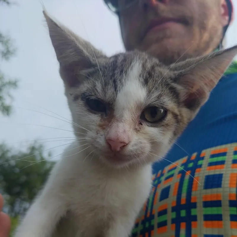 Biker Babe Aka Bb thumbnail 4