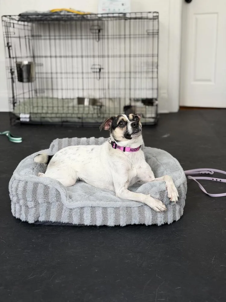 Miss Monroe thumbnail 2