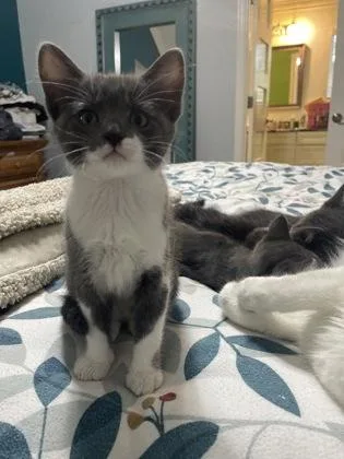 Charlie