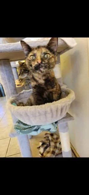 Potpourri! thumbnail 2