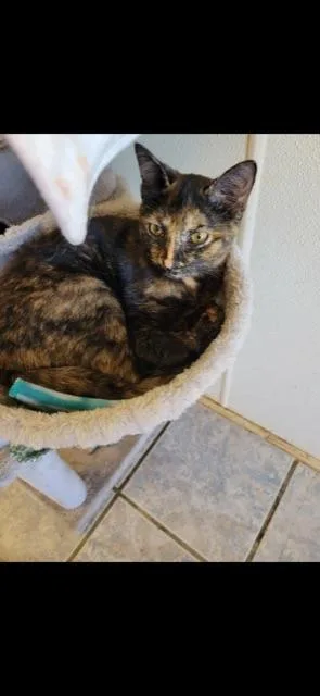 Potpourri! thumbnail 4