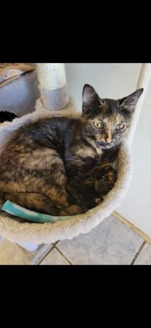 Potpourri! thumbnail 5