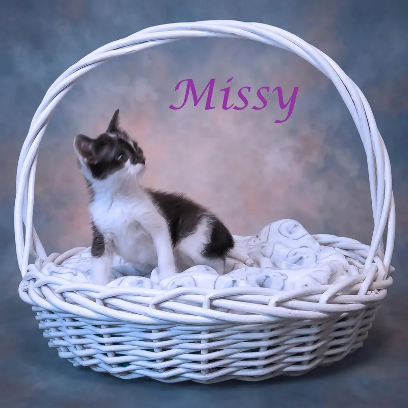 Missy C thumbnail 2