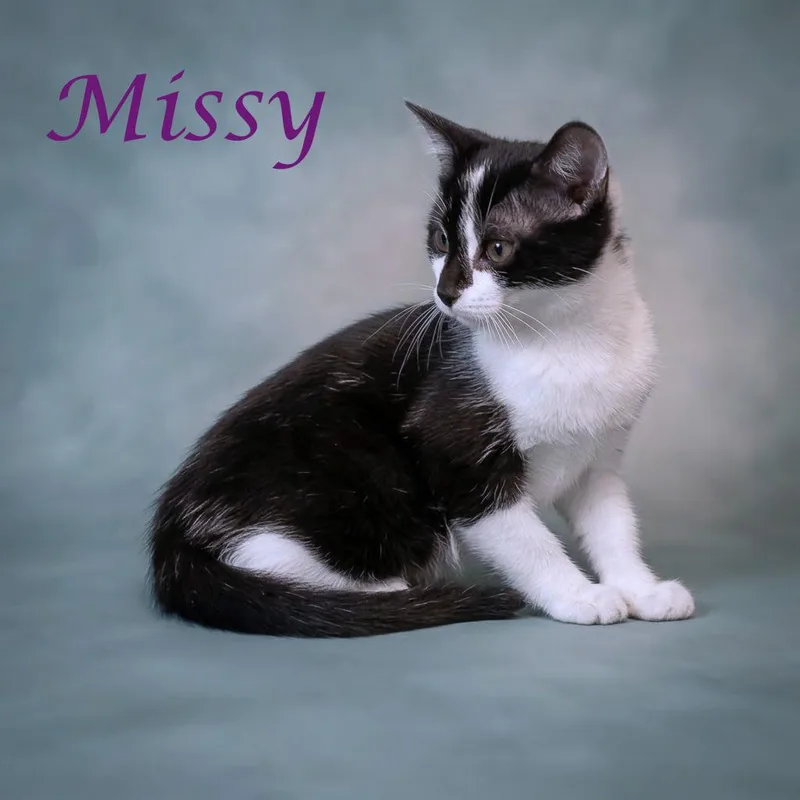 Missy C thumbnail 3