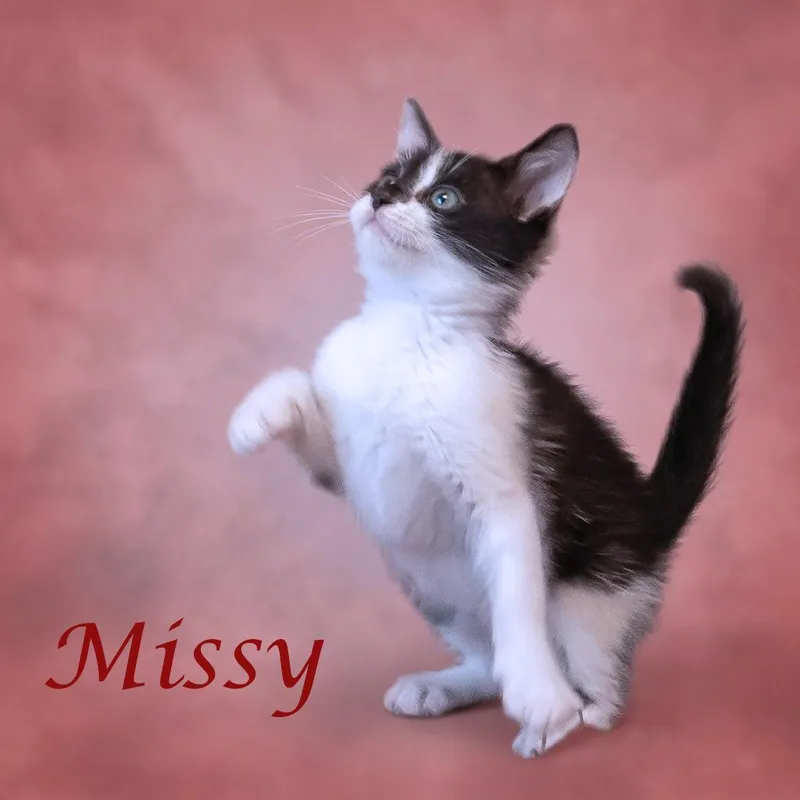 Missy C thumbnail 4