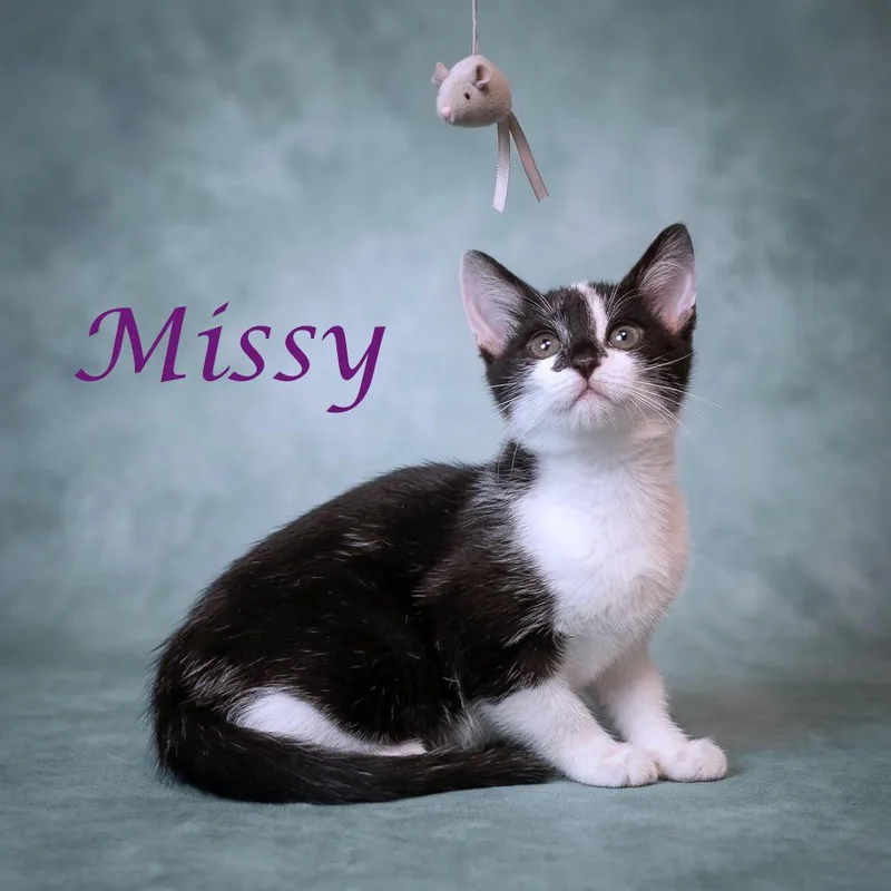 Missy C thumbnail 5