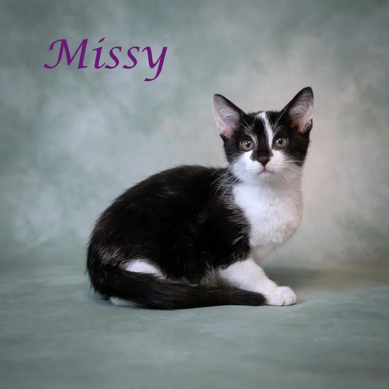 Missy C thumbnail 6