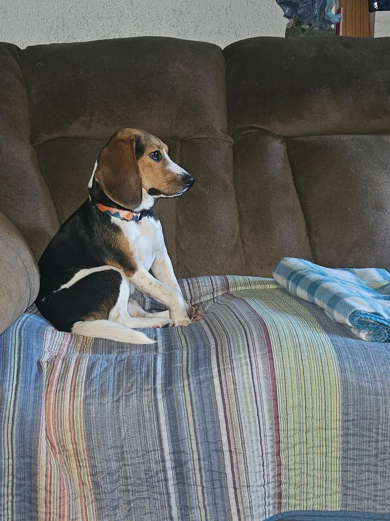 Ellie Mae thumbnail 2