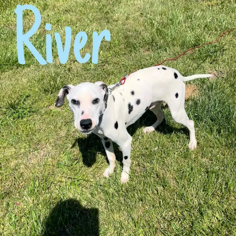 River thumbnail 2