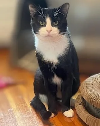 Blueberry And Grape thumbnail 3