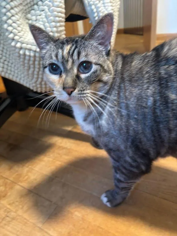Maggie thumbnail 3