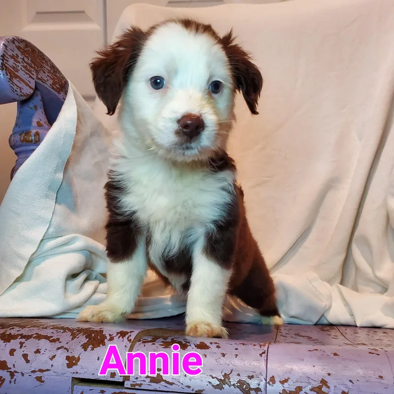 Annie