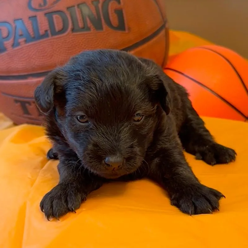 George Mason thumbnail 2