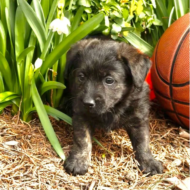 George Mason thumbnail 3