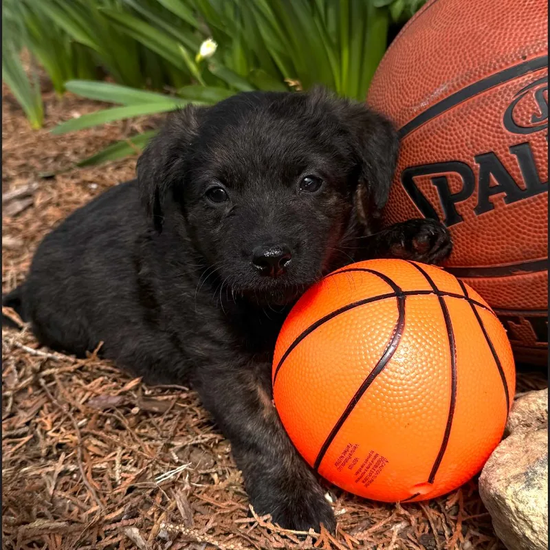 George Mason thumbnail 4